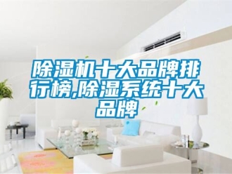 企业新闻除湿机十大品牌排行榜,除湿系统十大品牌