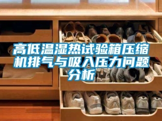 常见问题高低温湿热试验箱压缩机排气与吸入压力问题分析