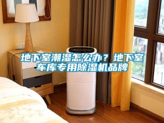 企业新闻地下室潮湿怎么办？地下室车库专用除湿机品牌
