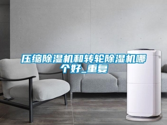 常见问题压缩除湿机和转轮除湿机哪个好_重复