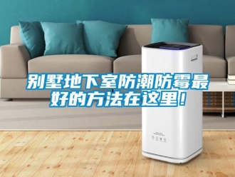 企业新闻别墅地下室防潮防霉最好的方法在这里！