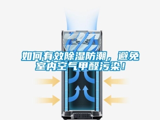 常见问题如何有效除湿防潮，避免室内空气甲醛污染！