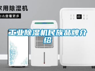 常见问题工业除湿机民族品牌介绍