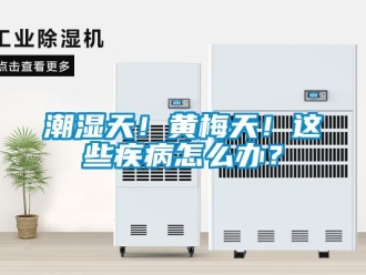 常见问题潮湿天！黄梅天！这些疾病怎么办？