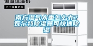 南方湿气太重怎么办？瓦尔特除湿器可快速除湿