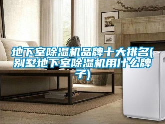 企业新闻地下室除湿机品牌十大排名(别墅地下室除湿机用什么牌子)