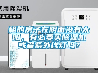 行业新闻租的房子在阴面没有太阳，有必要买除湿机或者紫外线灯吗？