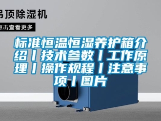 常见问题标准恒温恒湿养护箱介绍丨技术参数丨工作原理丨操作规程丨注意事项丨图片