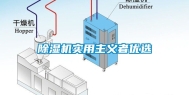 除湿机实用主义者优选