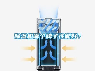 行业新闻除湿机哪个牌子性能好？