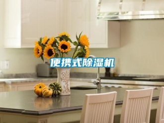 常见问题便携式除湿机