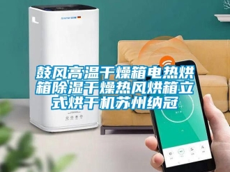 新闻资讯鼓风高温干燥箱电热烘箱除湿干燥热风烘箱立式烘干机苏州纳冠