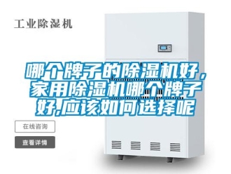 常见问题哪个牌子的除湿机好，家用除湿机哪个牌子好,应该如何选择呢
