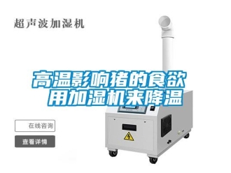 企业新闻高温影响猪的食欲 用加湿机来降温