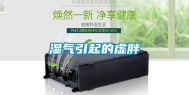 湿气引起的虚胖