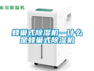 行业新闻蜂巢式除湿机—什么是蜂巢式除湿机