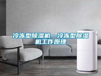 行业新闻冷冻型除湿机—冷冻型除湿机工作原理