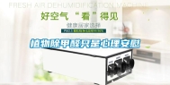 植物除甲醛只是心理安慰