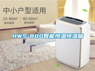 常见问题HWS-800智能恒温恒湿箱