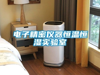 知识百科电子精密仪器恒温恒湿实验室