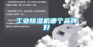 工业除湿机哪个品牌好