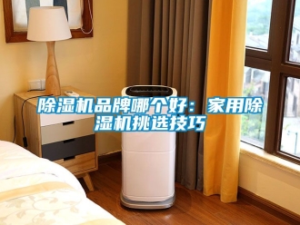 企业新闻除湿机品牌哪个好：家用除湿机挑选技巧