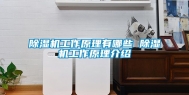 除湿机工作原理有哪些 除湿机工作原理介绍