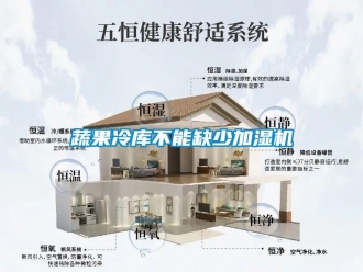 知识百科蔬果冷库不能缺少加湿机