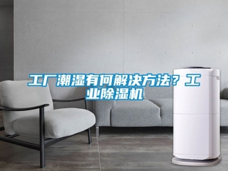 常见问题工厂潮湿有何解决方法？工业除湿机