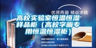 高校实验室恒温恒湿样品柜（高校字画专用恒温恒湿柜）