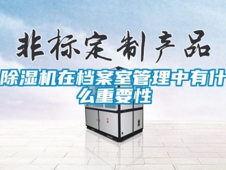 行业新闻除湿机在档案室管理中有什么重要性