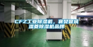 CFZ工业除湿机，襄樊宜城湿菱除湿机品牌