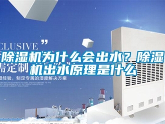 企业新闻除湿机为什么会出水？除湿机出水原理是什么