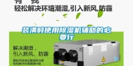 装潢时使用除湿机辅助的必要行