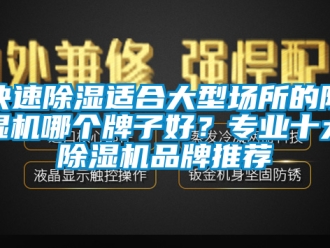 企业新闻快速除湿适合大型场所的除湿机哪个牌子好？专业十大除湿机品牌推荐