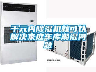 常见问题千元内除湿机就可以解决家庭车库潮湿问题