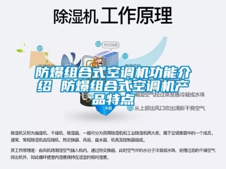 企业新闻防爆组合式空调机功能介绍 防爆组合式空调机产品特点