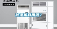 除湿机有用吗？