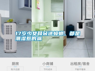 常见问题17岁少女耳朵进蟑螂，都是潮湿惹的祸