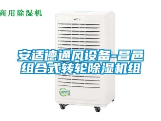 常见问题安适德通风设备-昌邑组合式转轮除湿机组