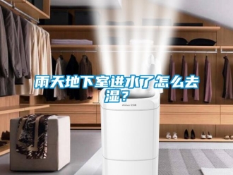 常见问题雨天地下室进水了怎么去湿？
