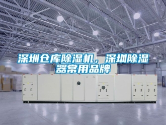 企业新闻深圳仓库除湿机，深圳除湿器常用品牌