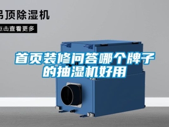 企业新闻首页装修问答哪个牌子的抽湿机好用