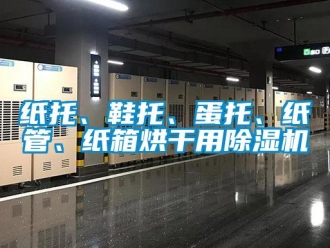 知识百科纸托、鞋托、蛋托、纸管、纸箱烘干用除湿机