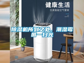 企业新闻除湿机所到之处，潮湿霉菌一扫光