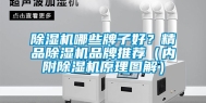 除湿机哪些牌子好？精品除湿机品牌推荐（内附除湿机原理图解）