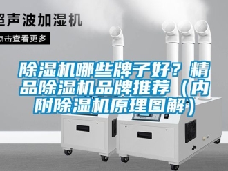 企业新闻除湿机哪些牌子好？精品除湿机品牌推荐（内附除湿机原理图解）