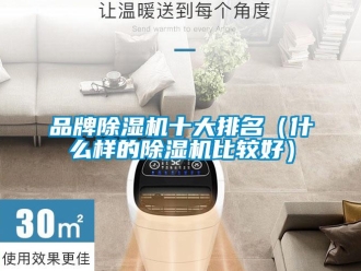 企业新闻品牌除湿机十大排名（什么样的除湿机比较好）