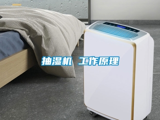 企业新闻抽湿机 工作原理