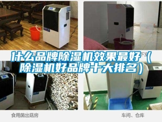 企业新闻什么品牌除湿机效果最好（除湿机好品牌十大排名）